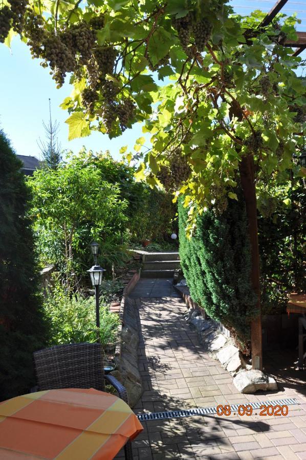 Pension Di Pino Aue  Exterior photo