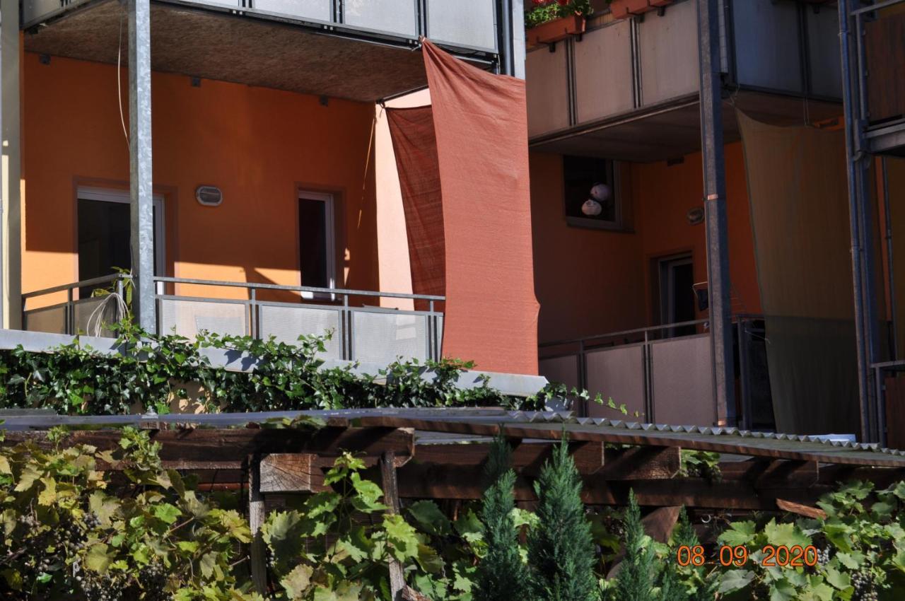 Pension Di Pino Aue  Exterior photo